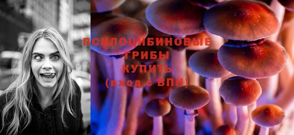 скорость Пестово