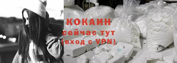 мет Пересвет
