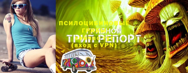 PSILOCYBIN Киров