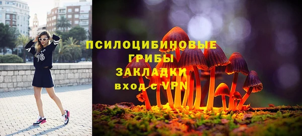 мет Пересвет
