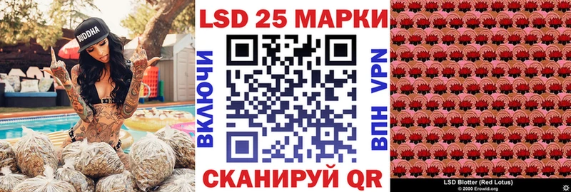 kraken ONION Бежецк Марки NBOMe 1500мкг